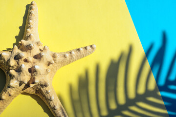 Dried starfish and the shadow of a palm leaf on a yellow and blue background.Summer and travel concept.Copy space,flat lay,top view.