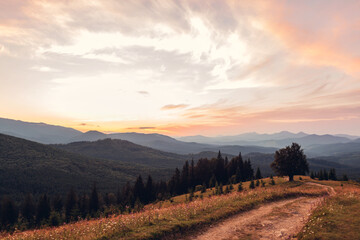 Fototapeta premium Beautiful sunset in Carpathian mountains. Summer ukrainian landscape. Dusky sky above wild nature with path