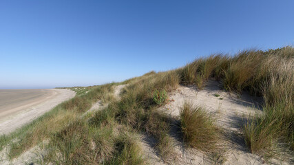 Sand dunes in the Bay of Somme  nature reserve 