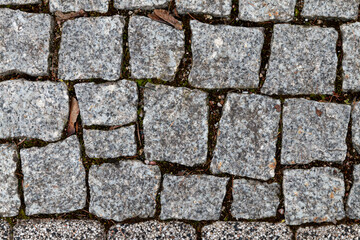 Gray pavement texture. Street pavement
