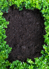 garden compost background