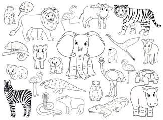 Set of doodle world animals. Vector outline cartoon isolated graphic hand drawn illustration. Elephant hippo zebra flamingo lion boar tapir penguin wombat bear marmot chameleon crocodile kiwi snake