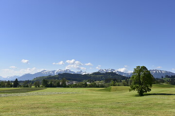 Fototapeta na wymiar Ostallgäu mit Schwaltenweiher im Sommer