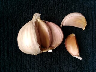 garlic on the dark background