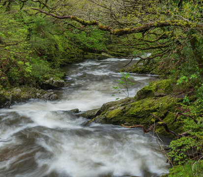 Stunning Spring landscape image of Watrersmeet in Devon England where two rivers meet to form one large powerful river