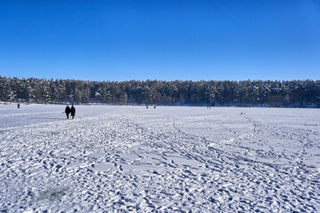 People are walking on the frozen lake on a sunny day. 