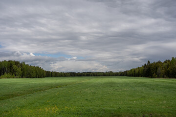 a large wide meadow surrounded by forest and beautiful rain clouds above the forest
