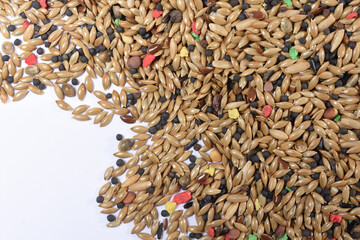 mixture of grains, seeds for canary birds, blank space