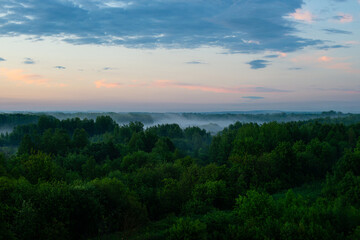 Fog spreads over the lowlands along the forest during sunset. Evening landscape