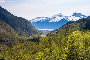 Obraz premium Scenic view of the Tongass National Forest and Port of Skagway i