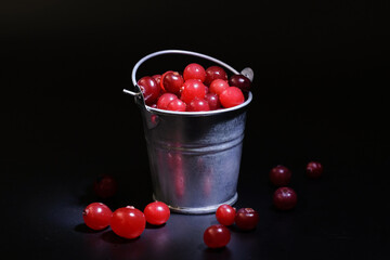 A bucket of fresh cranberries on a black background. Red berries in the studio on a dark background