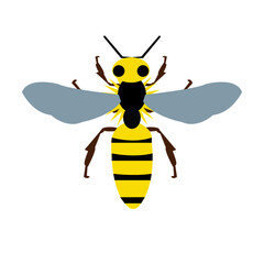 bee