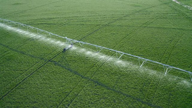 Aerial Shot Over Large Field With Sprinklers Watering Crops