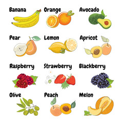 Set of fresh fruits and berries in sketch style. Vector illustration banana, orange, avocado, pear, lemon, apricot, raspberry, strawberry, blackberry, olive peach melon