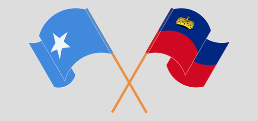 Crossed and waving flags of Somalia and Liechtenstein