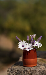 Wildflowers  in ceramic vase in vintage styl in garden.Rustic stil life.Copy space..
