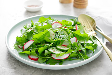 Fresh vegetarian vegetable salad with radish, cucumber and arugula, healthy food.