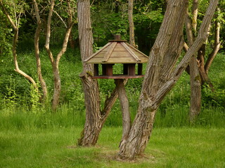 Wooden bird feeding station - big birdhouse on tree trunk