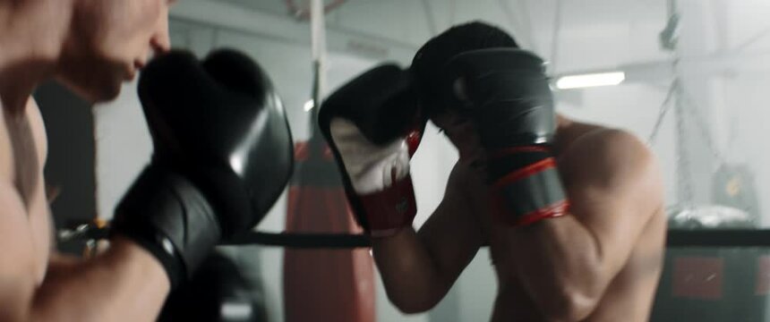 HANDHELD Two fighters having a kickboxing sparring fight, trainers watching. Dynamic cinematic footage. Shot with 2x anamorphic lens