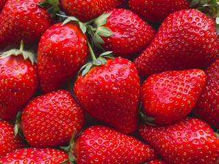 Close-up of a large number of strawberries. Natural background.