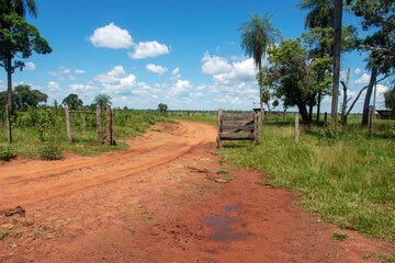 Fototapeta na wymiar dirt road crossing farm in Mato Grosso do Sul