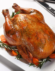 Poultry images for the food industry.