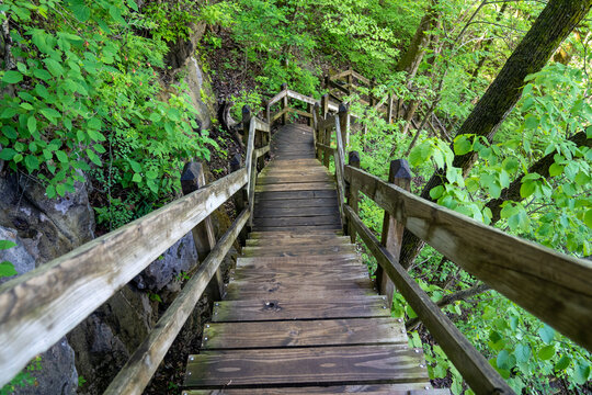 Steep wooden steps leading down into a forest - taken at Ha Ha Tonka State Park on the spring trail