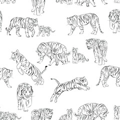 Fototapeta na wymiar texture pattern tigers hand drawing, texture