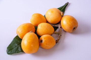 黄色いビワの実