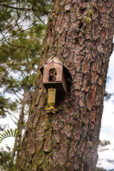 bird house on tree