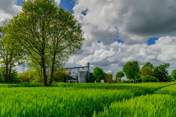 Panorama view of countryside in North Germany with biogas plant. Cornfield with agricultural...