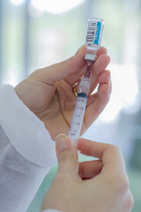 view against the far end of a pine tree