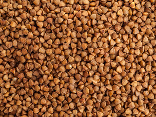 Buckwheat kernel made from whole undivided grains, used for making cereals and side dishes, fried buckwheat, which has a brown hue, solid background, close-up