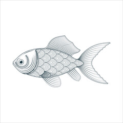 Fish. Hand drawn fish vintage, engraving style vector illustration. Part of set.