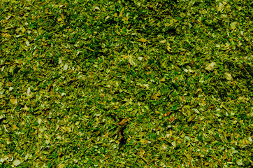 Silage, feed for winter cattle