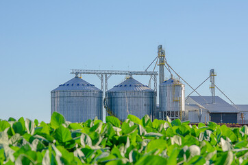 grain storage silos