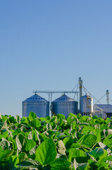 grain storage silos