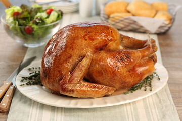 Poultry images for the food industry.