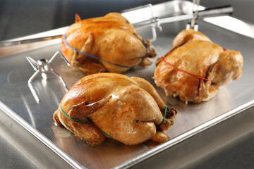 Fototapeta premium Poultry images for the food industry.