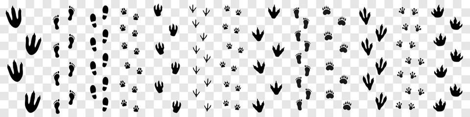 Big collection of animal, human, dinosaur, monster footprints. Different footsteps isolated on transparent background. Vector design © Саша Мельник