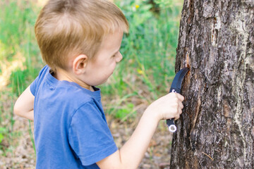 A young boy with a knife in the forest cuts a tree. Dangerous game, outdoor recreation. - obrazy, fototapety, plakaty