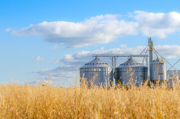 Fototapeta na wymiar grain storage silos