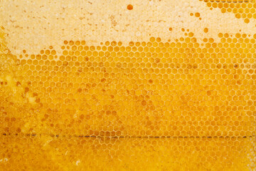 Honey comb close-up. Yellow half-empty honeycomb.