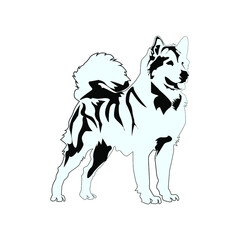 Illustration Vector graphic of standing dog design