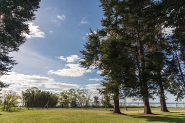 Natural park in the middle of the city with lawns and large trees in Argentina