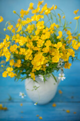 Bouquet yellow buttercups in a white jug, on a blue background