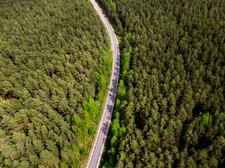 The asphalt forest road. Aerial view.