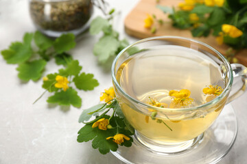 Glass cup of aromatic celandine tea and flowers on grey table, closeup. Space for text