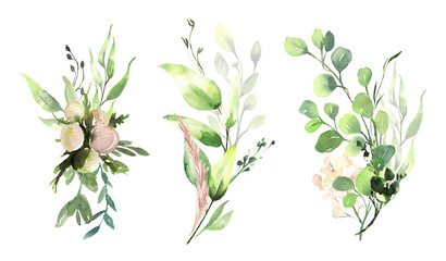 Watercolor floral illustration set - green eucalyptus leaf branches collection, for wedding invitation, greetings cards, wallpapers, background. Eucalyptus, green leaves. High quality illustration