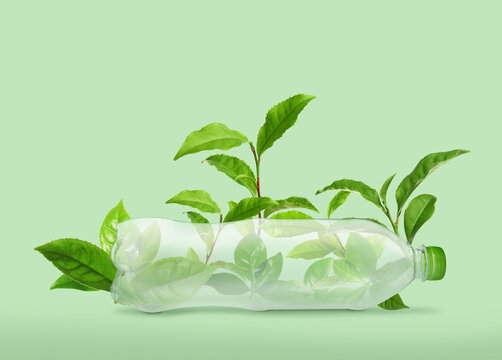 Bottle made of biodegradable plastic and leaves on green background